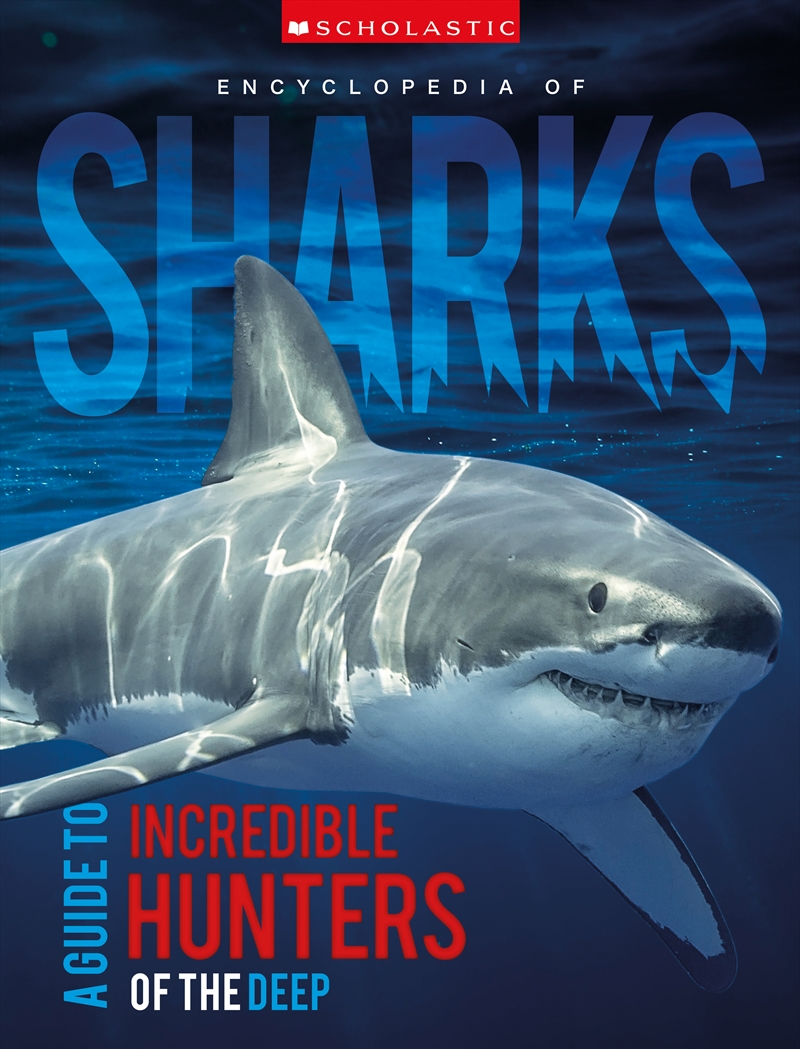 Encyclopedia of Sharks (Miles Kelly)/Product Detail/Childrens