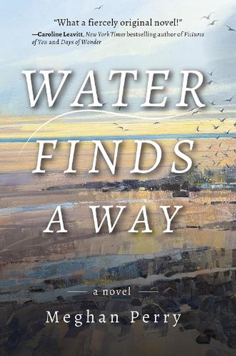 Water Finds A Way A Novel/Product Detail/Thrillers & Horror Books