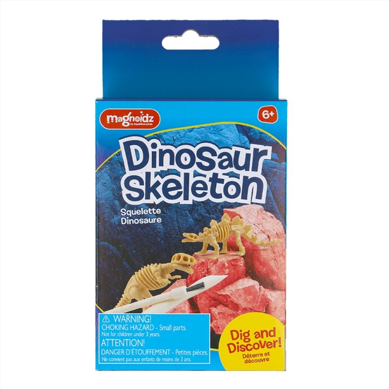 MAGNOIDZ Dig & Discover Dinosaur Skeleton Kit/Product Detail/Arts & Craft