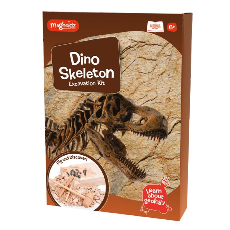 MAGNOIDZ Dino Skeleton Excavation Kit/Product Detail/Arts & Craft