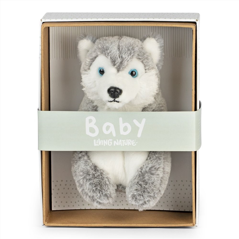 Living Nature Baby Husky/Product Detail/Plush Toys