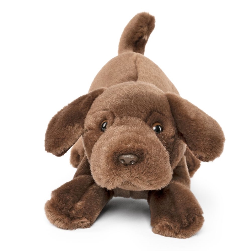 Living Nature Chocolate Lab Playful Pup/Product Detail/Plush Toys