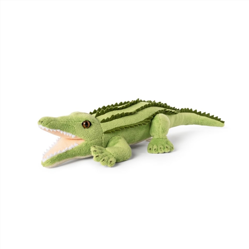 Living Nature Crocodile Small/Product Detail/Plush Toys