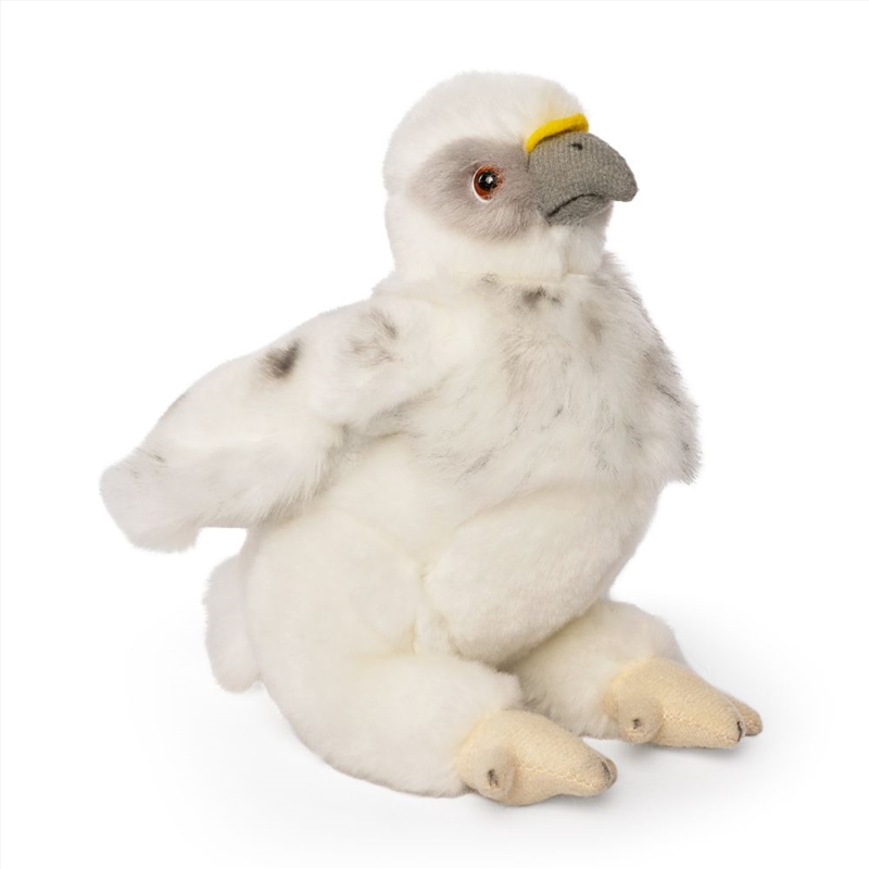 Living Nature Eagle Chick 

/Product Detail/Plush Toys