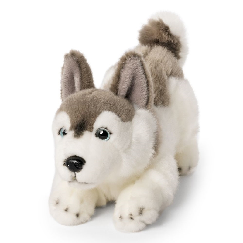 Living Nature Husky Playful Pup/Product Detail/Plush Toys