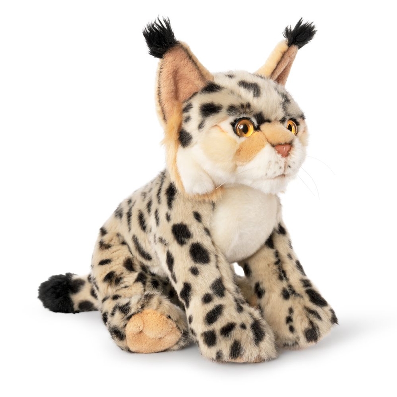 Living Nature Lynx 

/Product Detail/Plush Toys