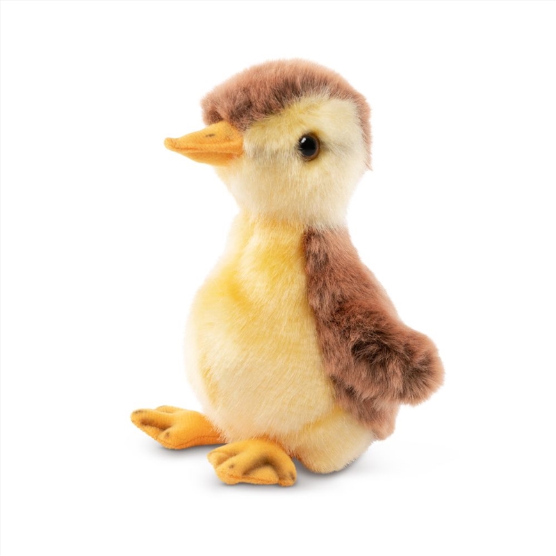 Living Nature Mallard Duckling/Product Detail/Plush Toys