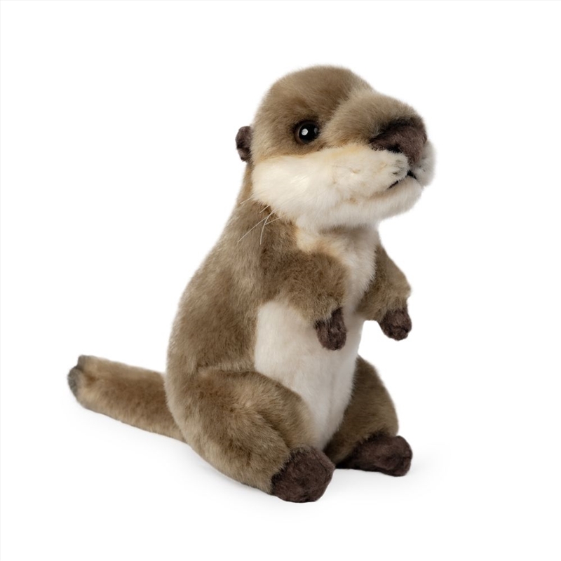 Living Nature Otter Cub/Product Detail/Plush Toys