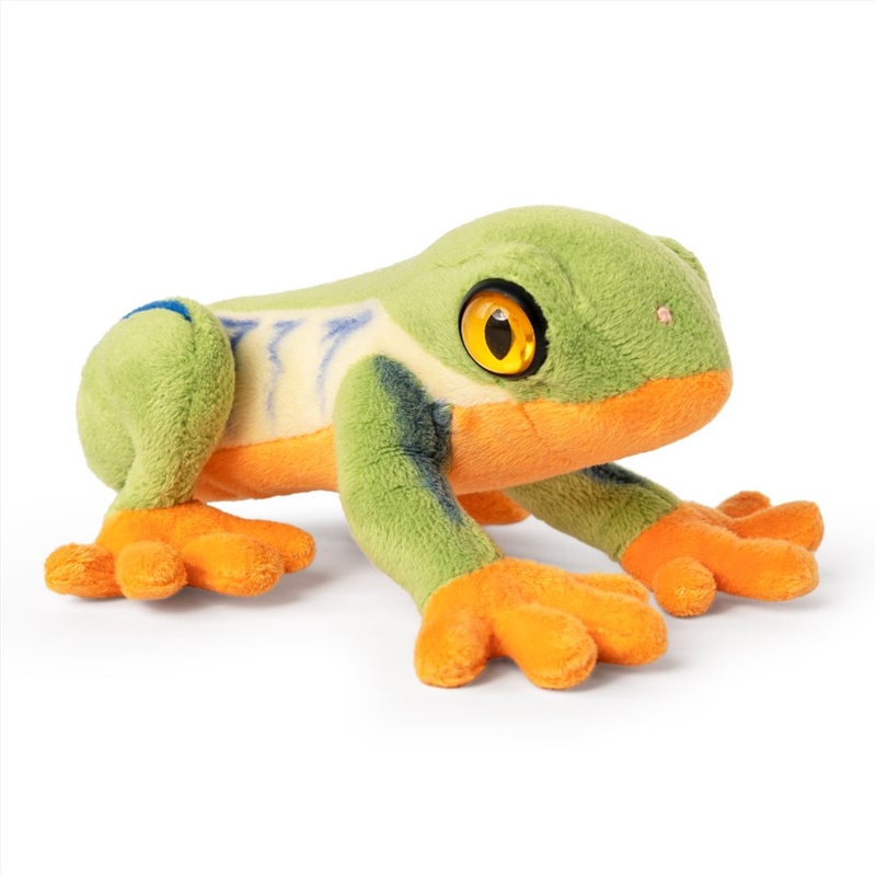 Living Nature Red Eyed Tree Frog/Product Detail/Plush Toys