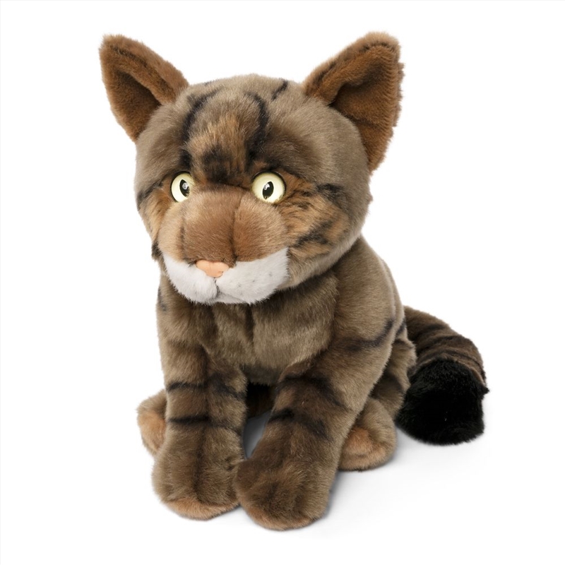 Living Nature Scottish Wildcat/Product Detail/Plush Toys