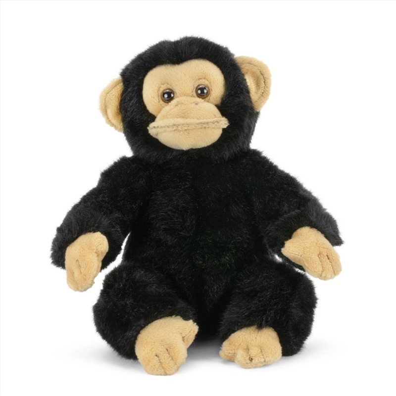 Living Nature Small Chimp/Product Detail/Plush Toys