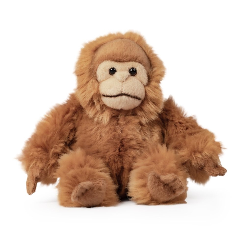 Living Nature Small Orangutang/Product Detail/Plush Toys