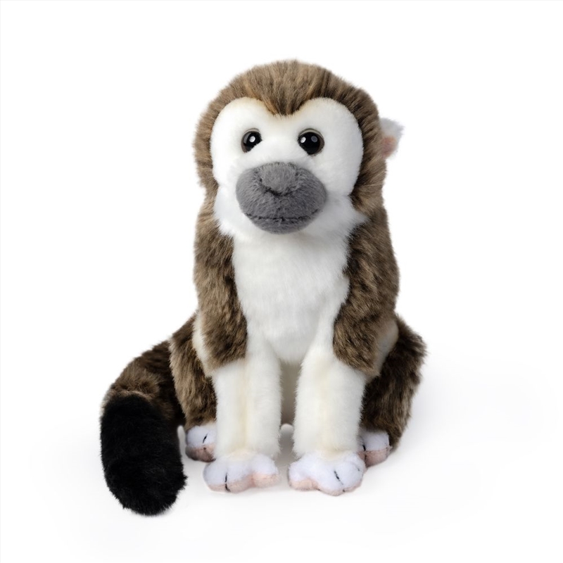 Living Nature Squirrel Monkey/Product Detail/Plush Toys