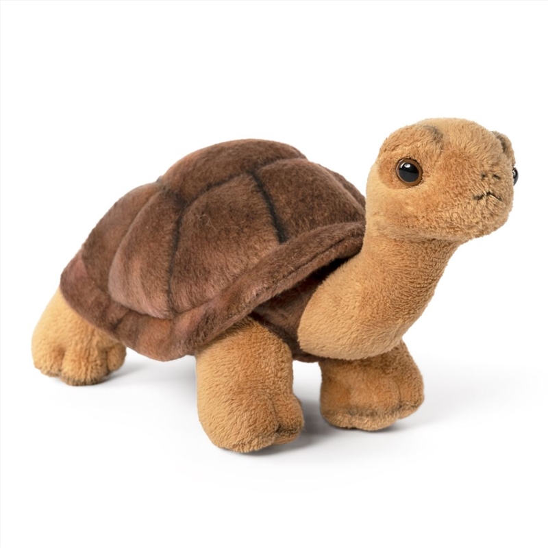 Living Nature Tortoise/Product Detail/Plush Toys