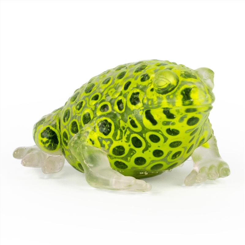 Beadz Alive Frog/Product Detail/Toys