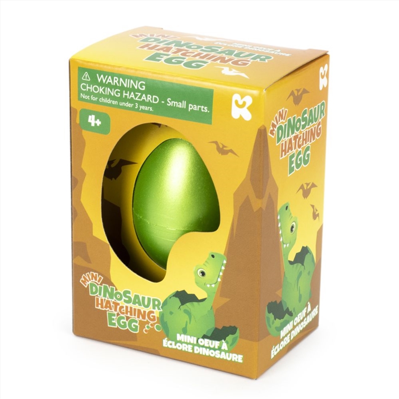 Mini Dinosaur Hatching Eggs/Product Detail/Toys