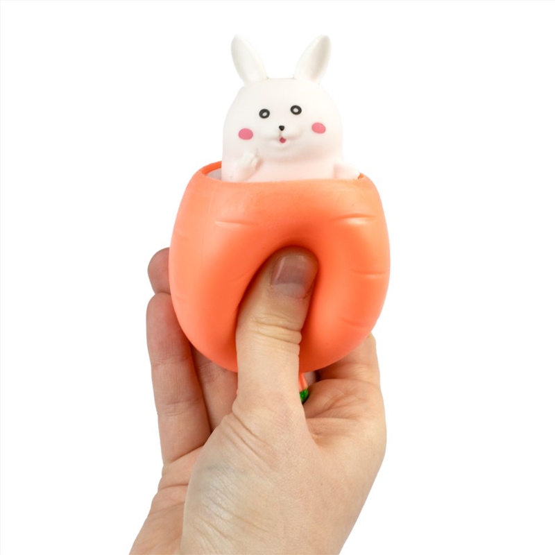 Peek-A-Boo Bunny/Product Detail/Toys