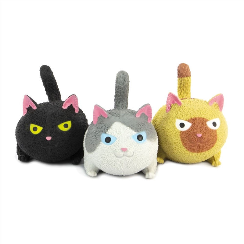 Squidgy Cat (SENT AT RANDOM)/Product Detail/Toys