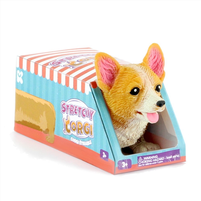 Squidgy Corgi/Product Detail/Toys