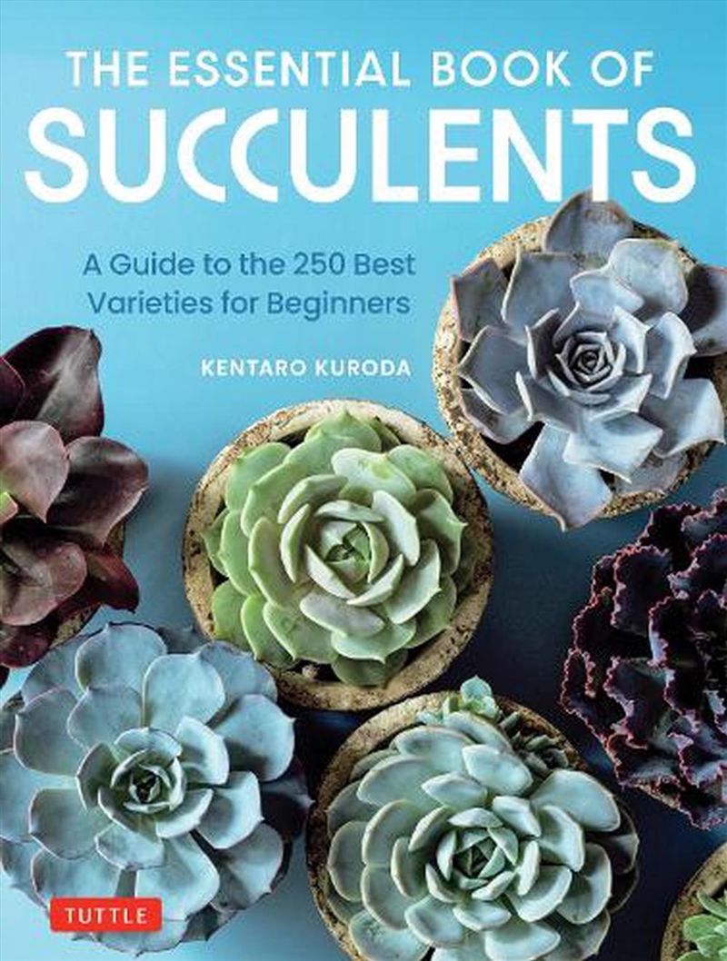 The Essential Book Of Succulen/Product Detail/Gardening