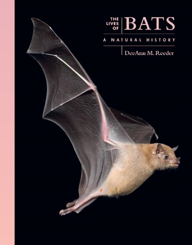 The Lives Of Bats/Product Detail/Animals & Nature