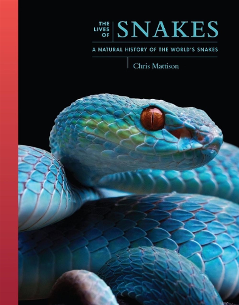 The Lives Of Snakes/Product Detail/Animals & Nature