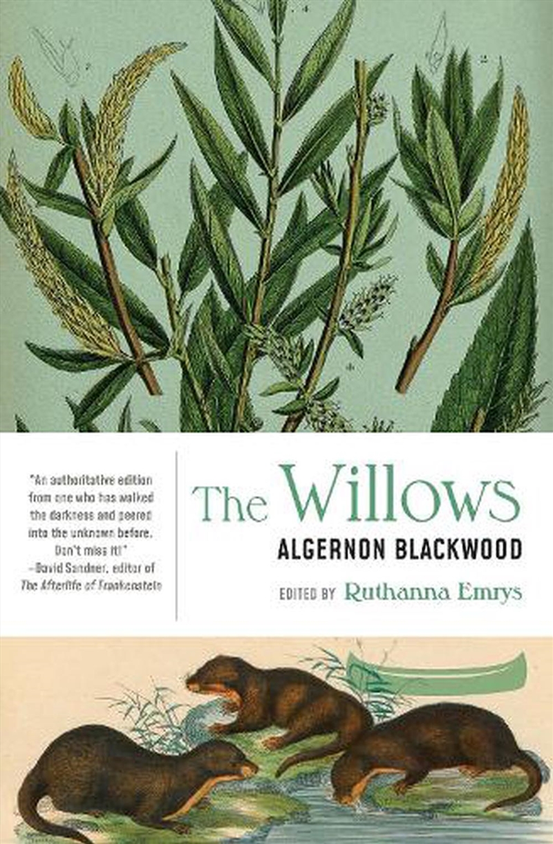 The Willows/Product Detail/General Fiction Books