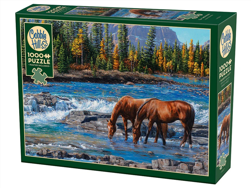 On The Rocks 1000Pc/Product Detail/Jigsaw Puzzles