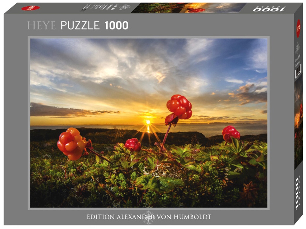 Von Humbold,Cloudberries 1000P/Product Detail/Jigsaw Puzzles