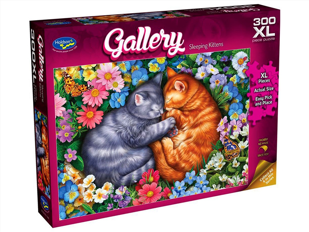 Gallery 10 Kittens 300Pcxl/Product Detail/Jigsaw Puzzles