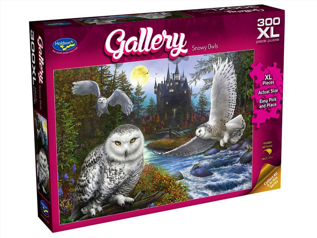 Gallery 10 Snowy Owls 300Pcxl/Product Detail/Jigsaw Puzzles