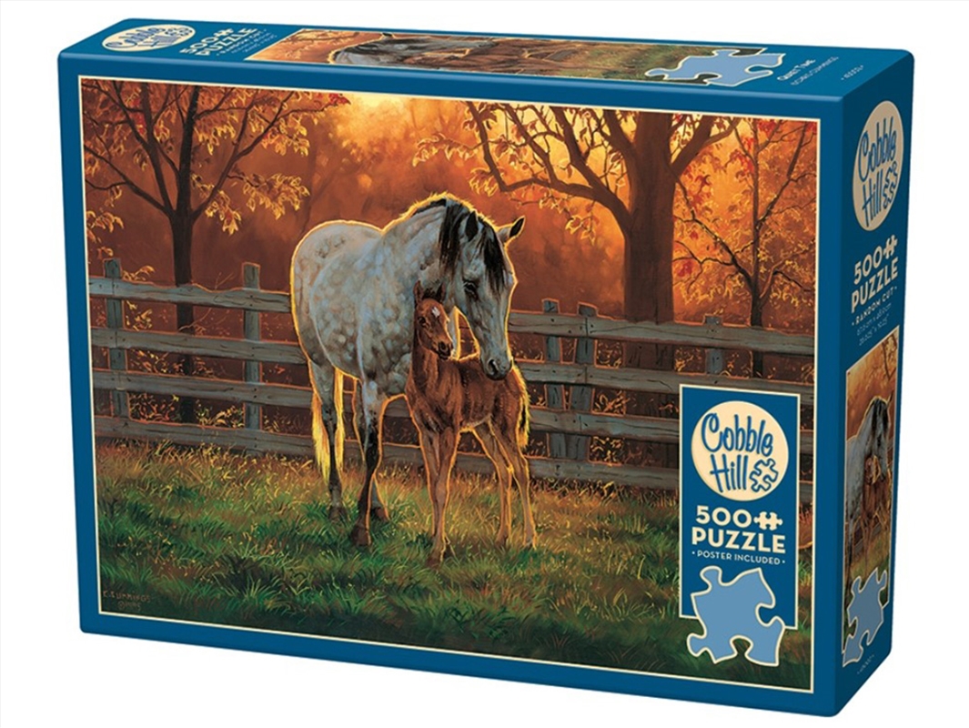 Quiet Time 500Pc/Product Detail/Jigsaw Puzzles