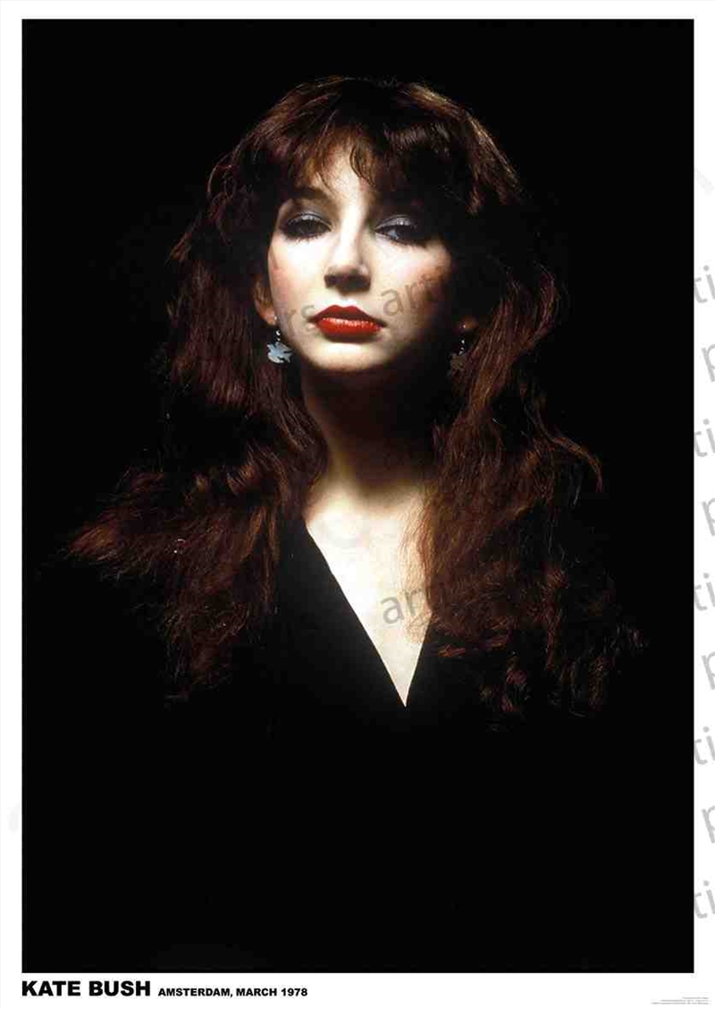 Kate Bush - Amsterdam 1978 - Euro Poster/Product Detail/Posters & Prints