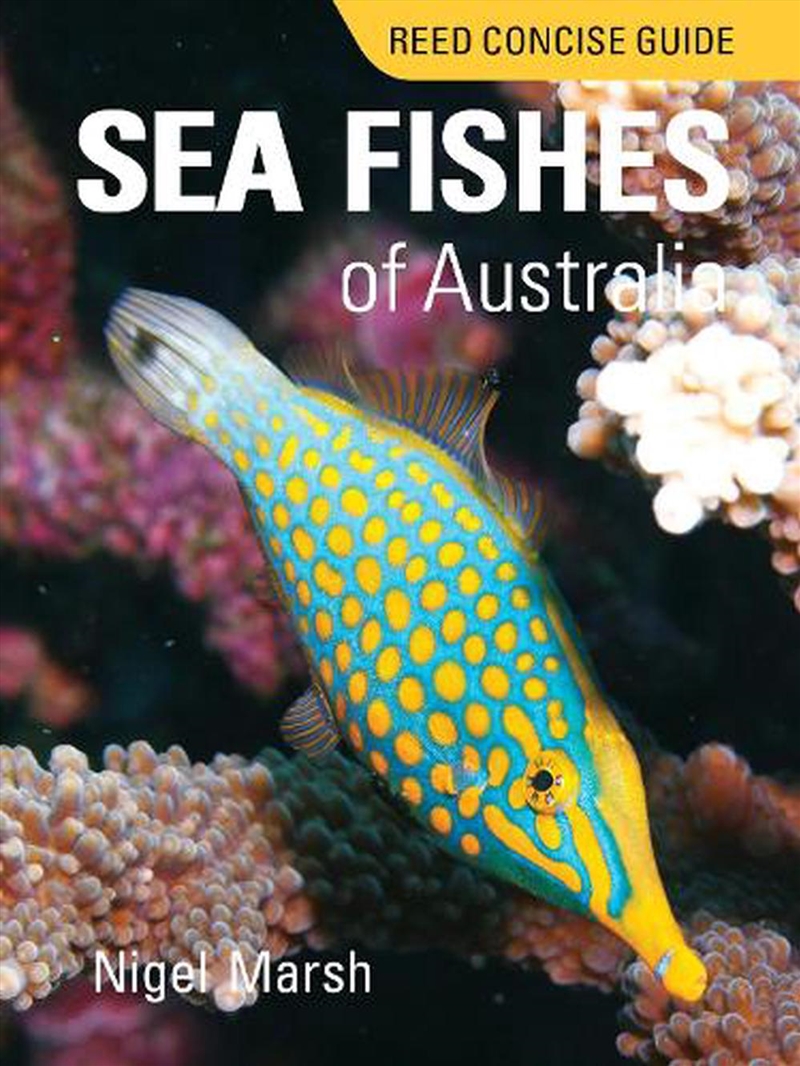 Reed Concise Guide Sea Fishes of Australia/Product Detail/Animals & Nature