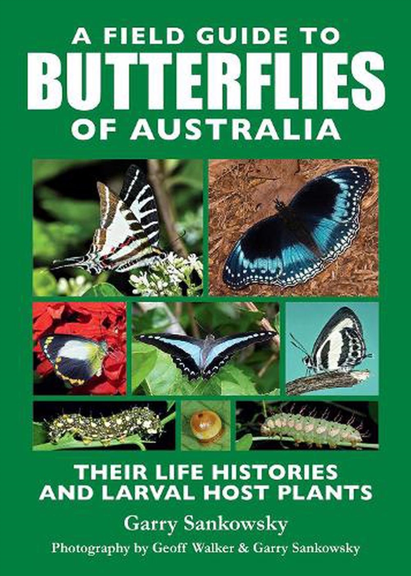 A Field Guide to Butterflies of Australia/Product Detail/Animals & Nature