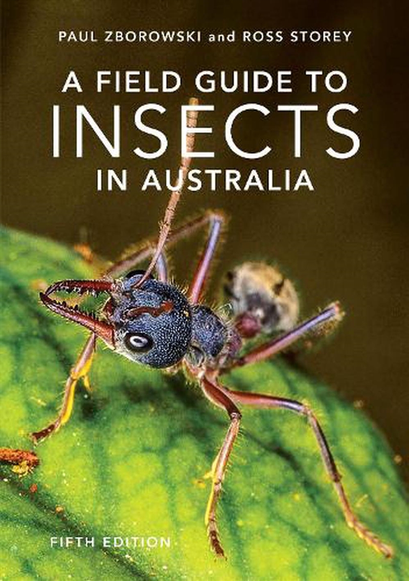 A Field Guide To Insects Of Australia/Product Detail/Animals & Nature