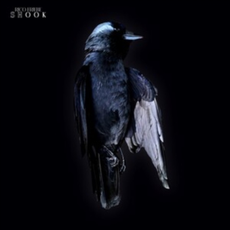 Shook (Ltd. Vinyl Edition)/Product Detail/Rock/Pop