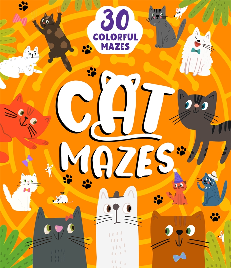 Cat Mazes/Product Detail/Early Childhood Fiction Books