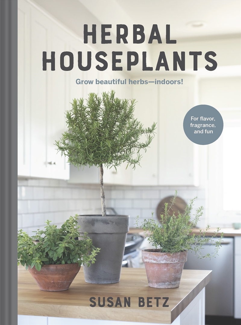 Herbal Houseplants/Product Detail/Gardening