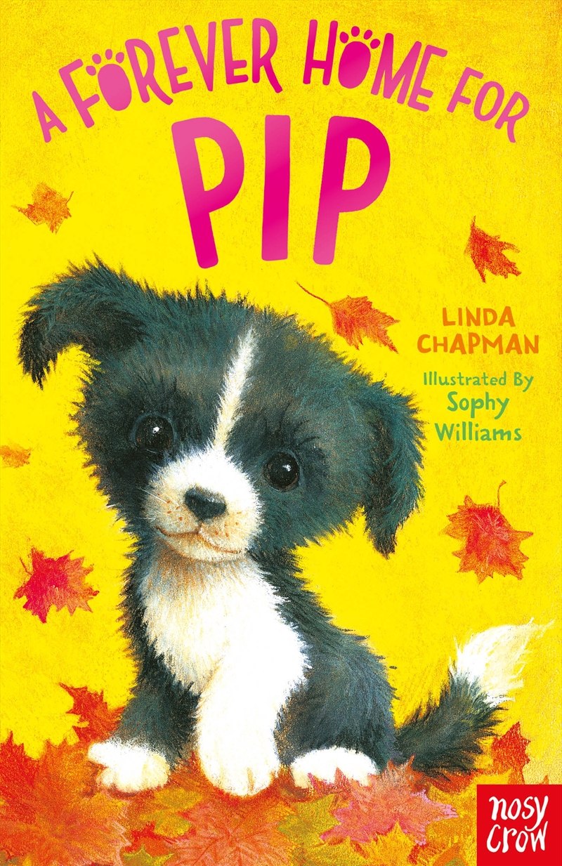 A Forever Home for Pip/Product Detail/Childrens Fiction Books