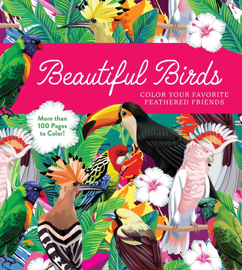 Beautiful Birds Coloring Book/Product Detail/Kids Colouring