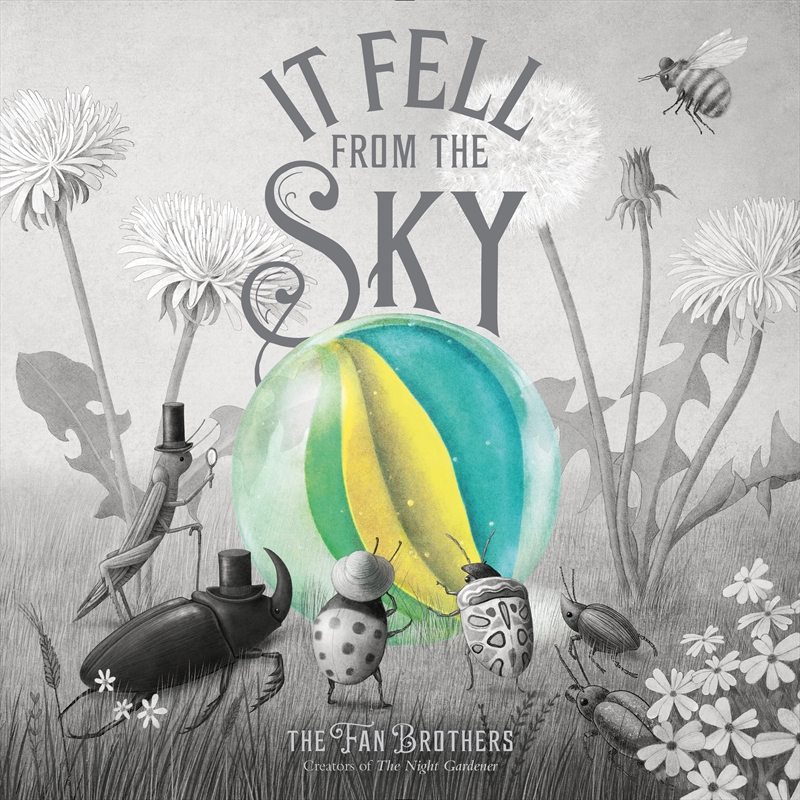 It Fell From The Sky/Product Detail/Early Childhood Fiction Books