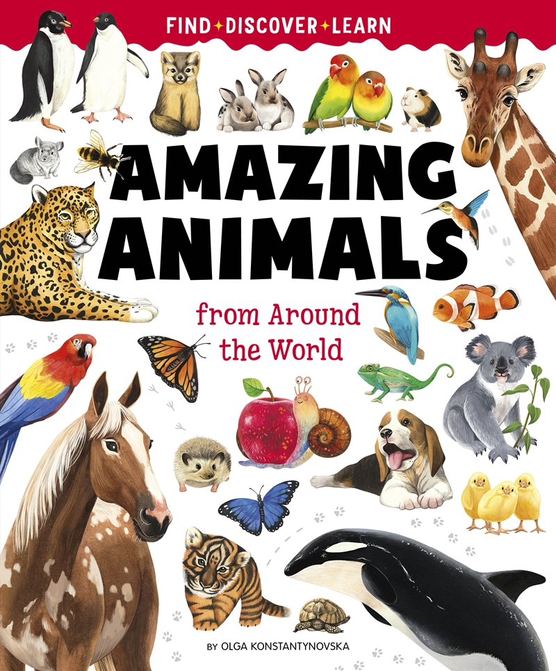 Big Book of Amazing Animals/Product Detail/Childrens