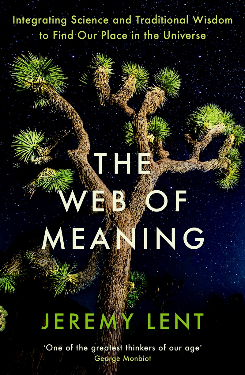 The Web of Meaning/Product Detail/Reading