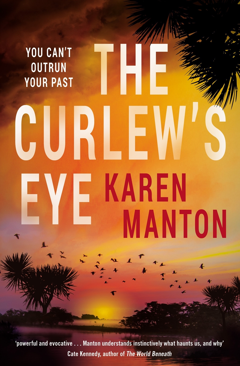 The Curlew's Eye/Product Detail/Thrillers & Horror Books