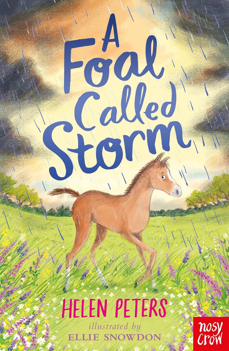 A Foal Called Storm (Jasmine Green)/Product Detail/Childrens Fiction Books