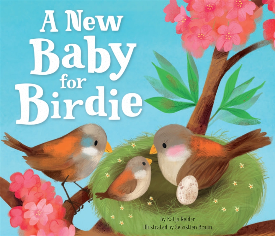 A New Baby for Birdie (Clever Family Stories)/Product Detail/Early Childhood Fiction Books