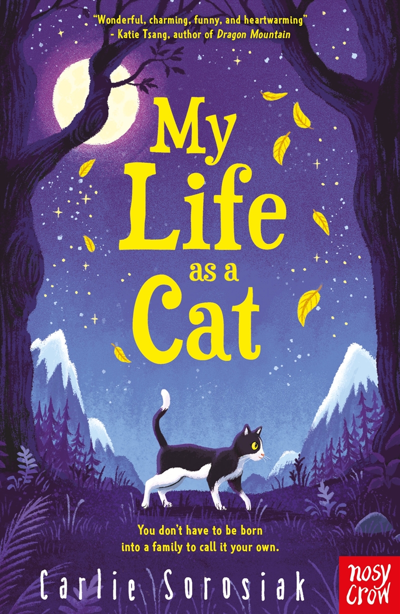 My Life as a Cat/Product Detail/Childrens Fiction Books