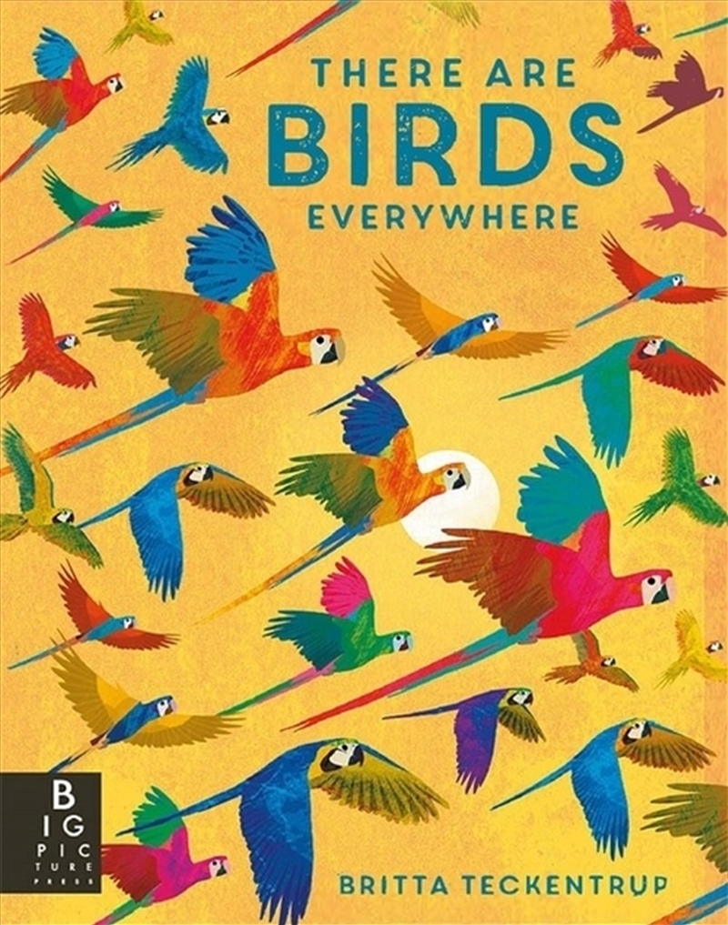 There are Birds Everywhere/Product Detail/Animals & Nature