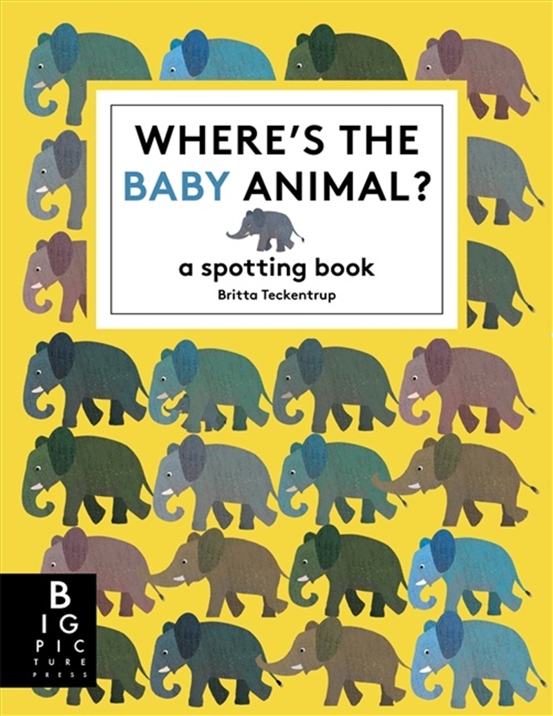 Where's the Baby Animal?/Product Detail/Childrens Fiction Books